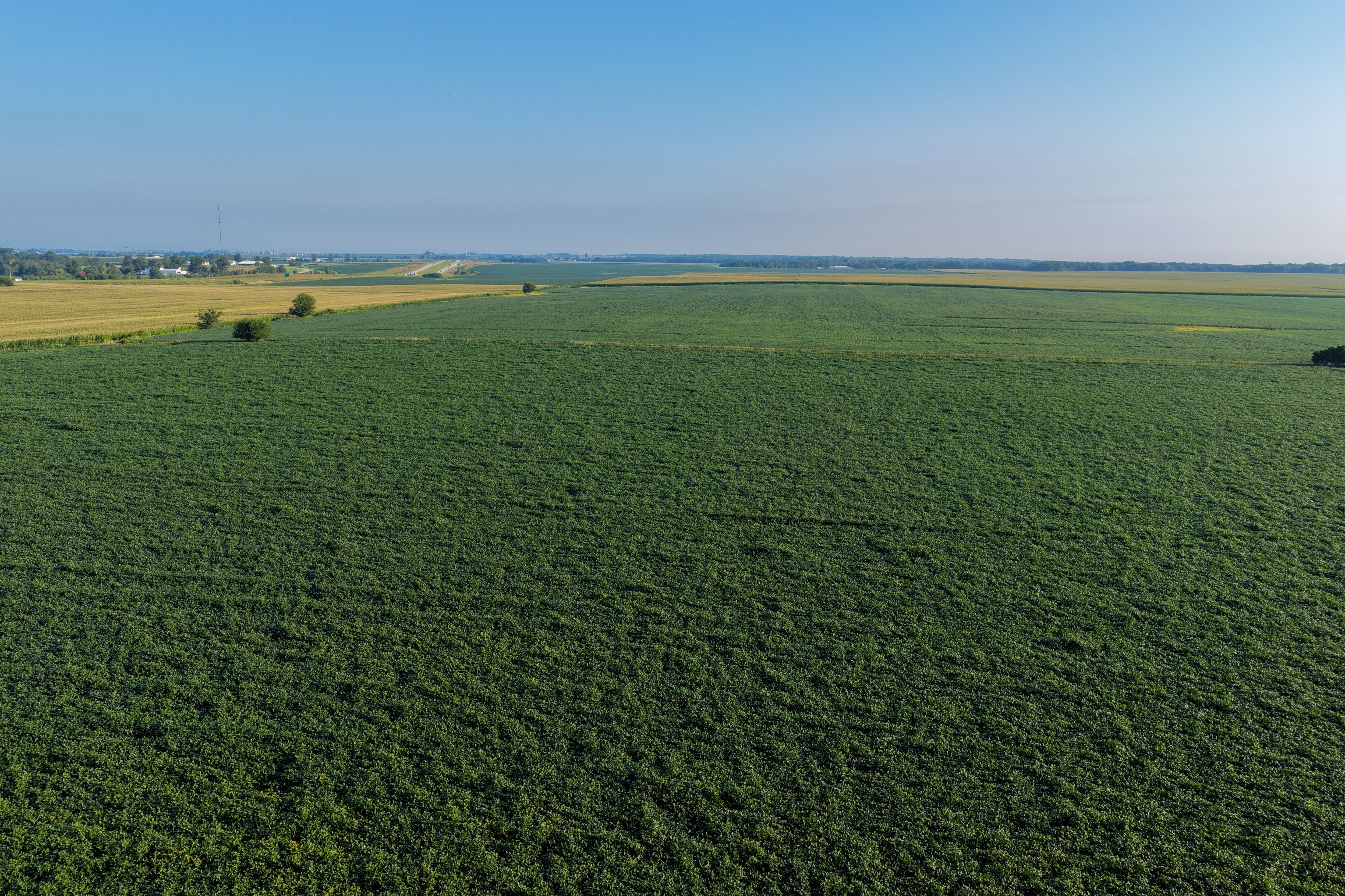 Listing Photo: 90 CSR2 Louisa County Farmland For Sale-4